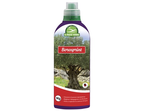 CONCIME LIQUIDO BOROSPRINT KG.1   H16006