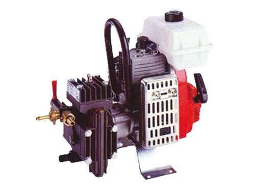 POMPE DL 218 + MOTORE SCOPPIO 2 HP SC2T