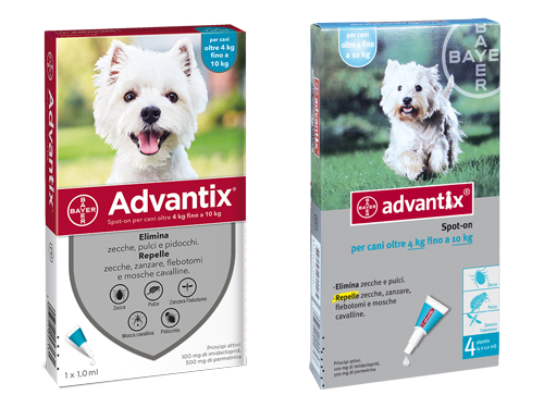 ADVANTIX CANI 4-10KG           -85906046