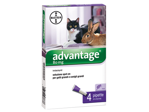 ADVANTAGE GATTI più di 4KG MG80 CF4PZ -85906348