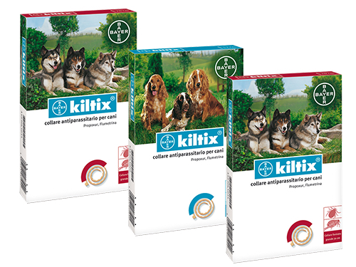 COLLARI KILTIX P/CANI MEDI     -83850354