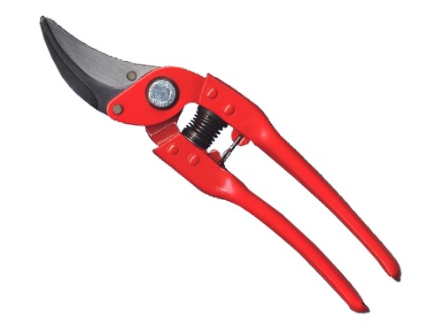 FORBICI PRADINES DA POTA RETTE P 110/23 (cartone 2 PZ)