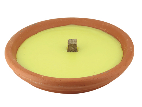CERI CITRON.IN COCCIO MAXI         CM.17 (cartone 25 PZ)