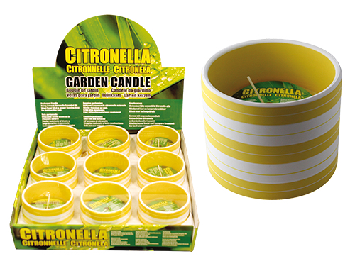 CERI CITRONELLA IN COCCIO CM.10XH8 (cartone 9 PZ)