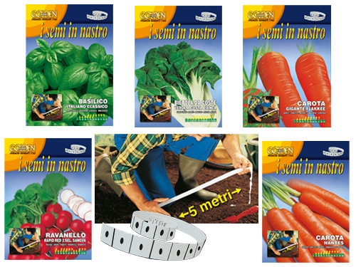 SEMI A NASTRO CAROTA NANTESE 2 -GLST23/7 (cartone 15 PZ)