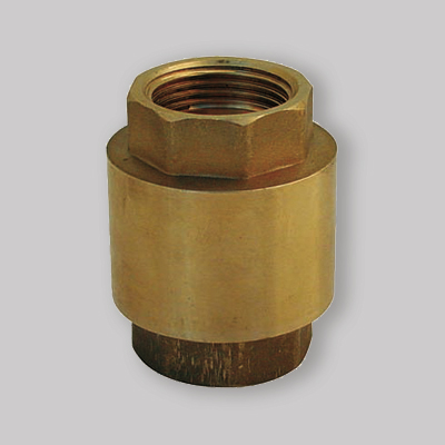 VALVOLA DI RITEGNO A MOLLA CON INSERTO IN OTTONE 2"