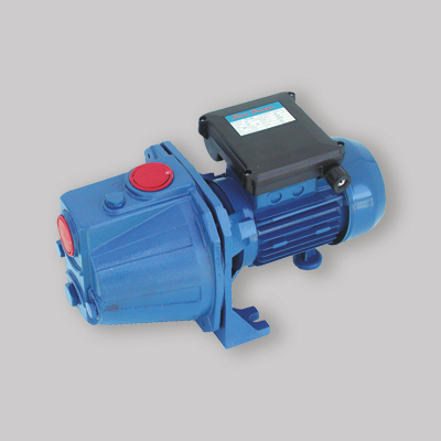 ELETTROPOMPA AUTODESCANTE GHISA JET 100