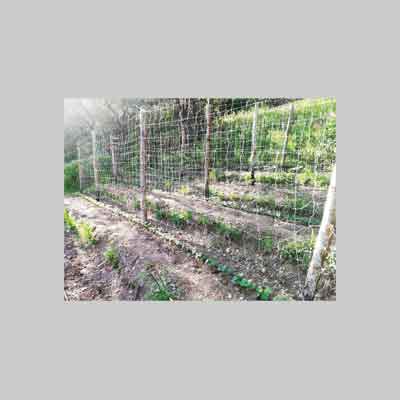 RETE PER RAMPICANTI IDEAL STAR mt 2x10 - Col. Bianca