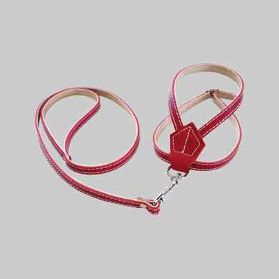 PARURE PER CANI mm 10x500