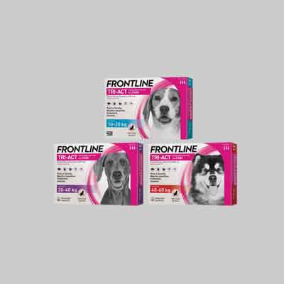 ANTIPARASSITARIO 'TRI-ACT' FRONTLINE Per cani 5-10Kg - 3 Pipette