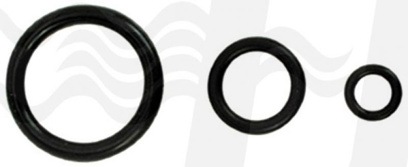 ANELLI O' RING 10.5 x 2.7 mm (cf. 100 NR)